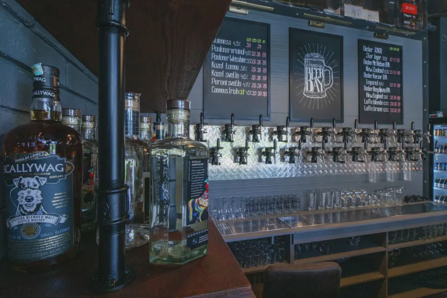 An industrial-style bar in the capital – visualisation 11